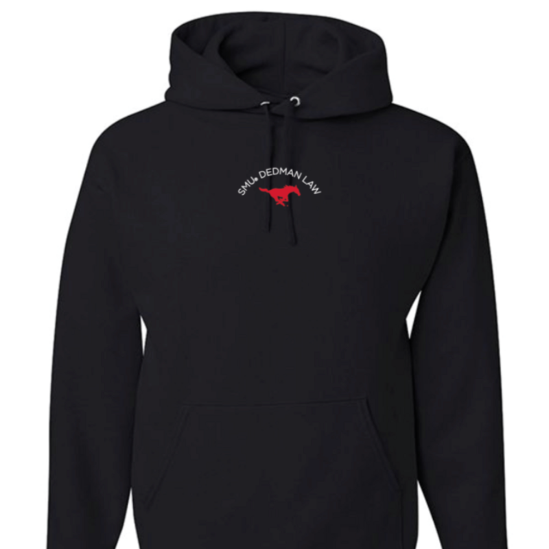 Pony Embroidered Hoodie Main Image